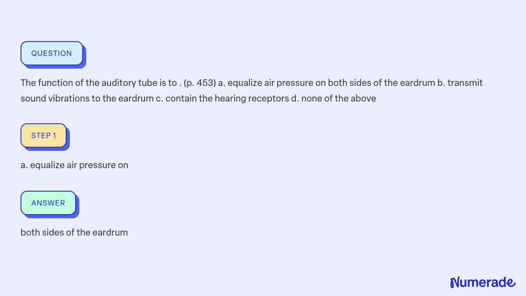 SOLVED The function of the auditory tube is to . (p. 453) a. equalize