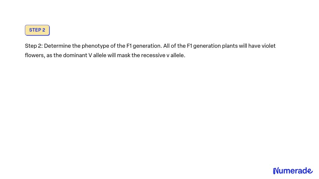 a mendelian experiment consisted of breeding pea plant bearing violet