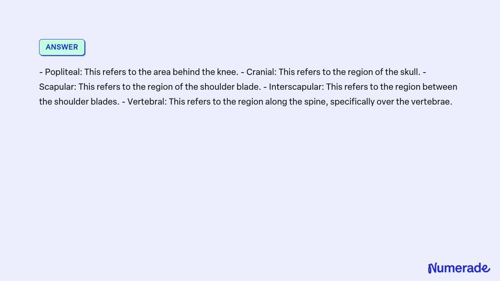 SOLVED Correctly label the following regions of the external anatomy