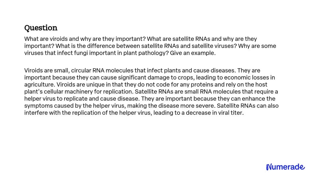 VIDEO solution: What are viroids and why are they important? What are ...