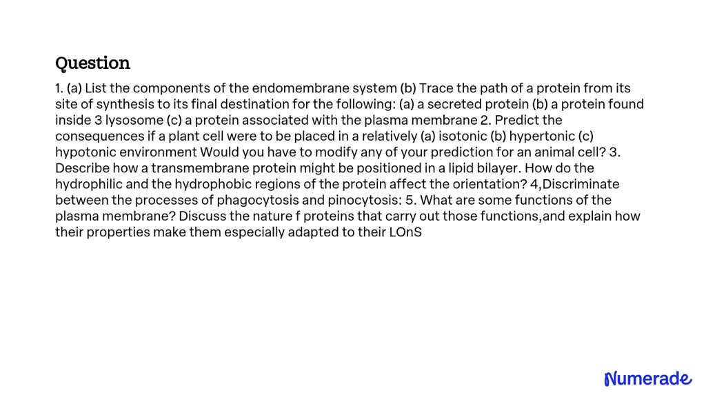 SOLVED: (a) List the components of the endomembrane system. (b) Trace ...