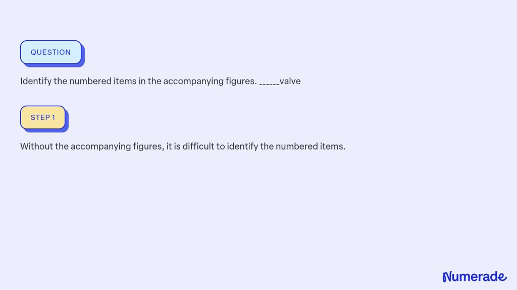 SOLVED:Identify the numbered items in the accompanying figures. valve
