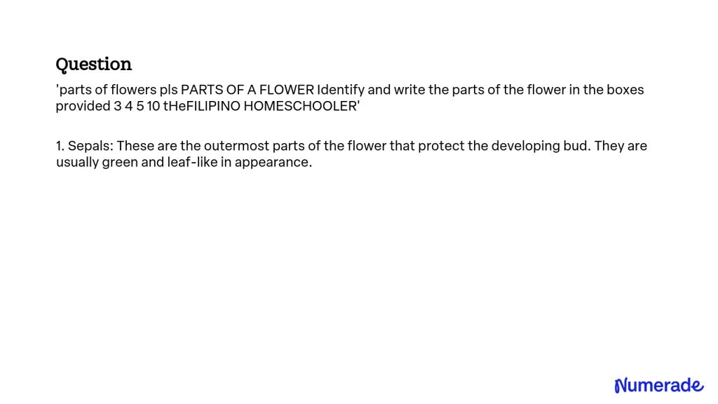 solved-parts-of-a-flower-identify-and-write-the-parts-of-the-flower-in