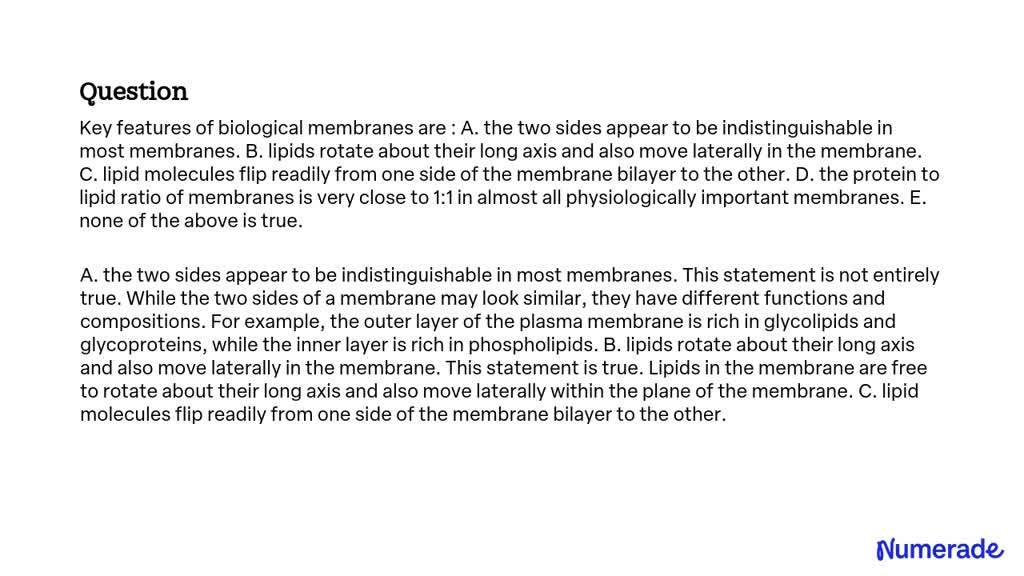 SOLVED: Key features of biological membranes are : A. the two sides ...