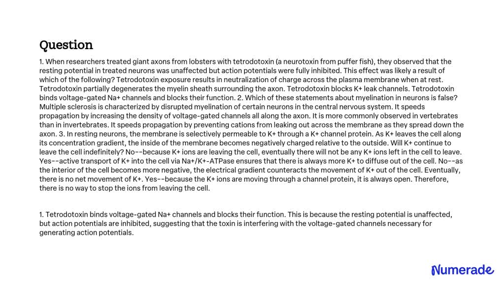 SOLVED: When researchers treated giant axons from lobsters with ...