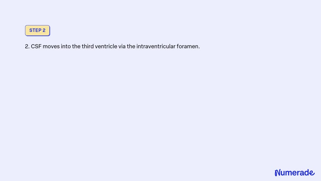 SOLVED: Beginning with the production of CSF in the lateral ventricles ...