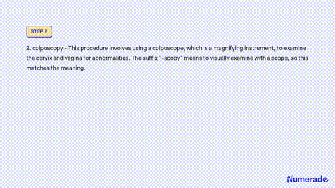 SOLVED Term Prefix es if Combining Suffix es and Description of