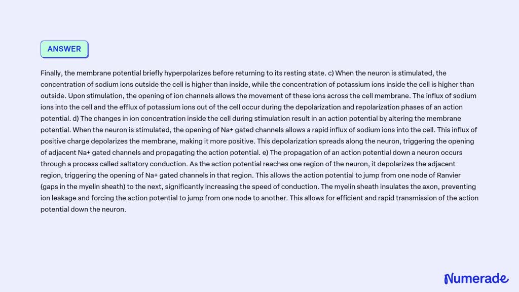 SOLVED: a) What is the difference between the Na+ leak channel and the ...