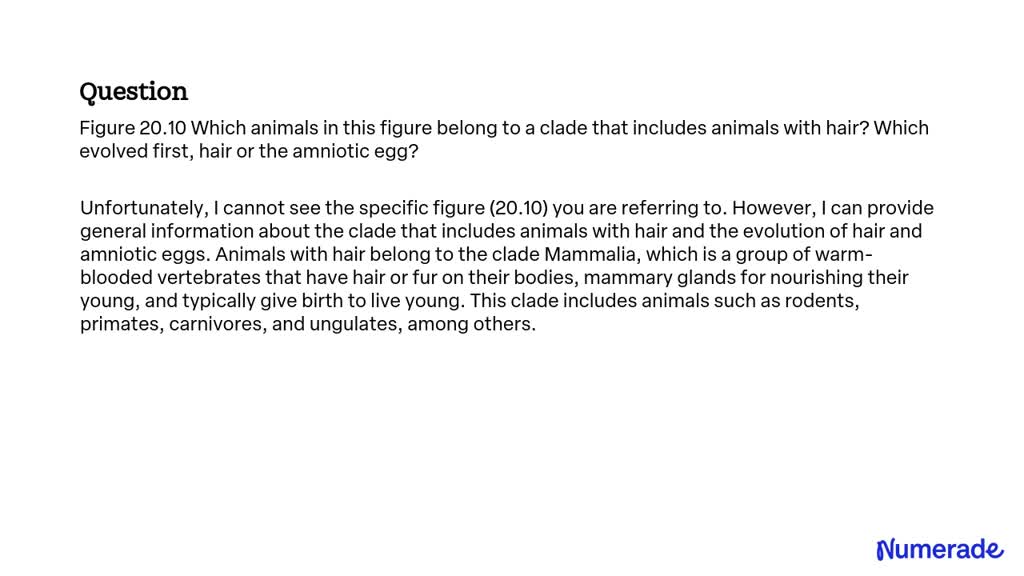 SOLVED:Figure 20.10 Which animals in this figure belong to a clade that ...