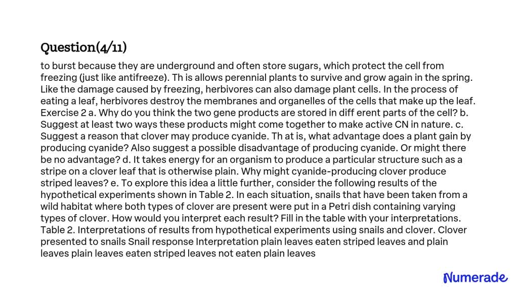 SOLVED: Case sudy: It has 11 exercises. Looking answers for all the ...