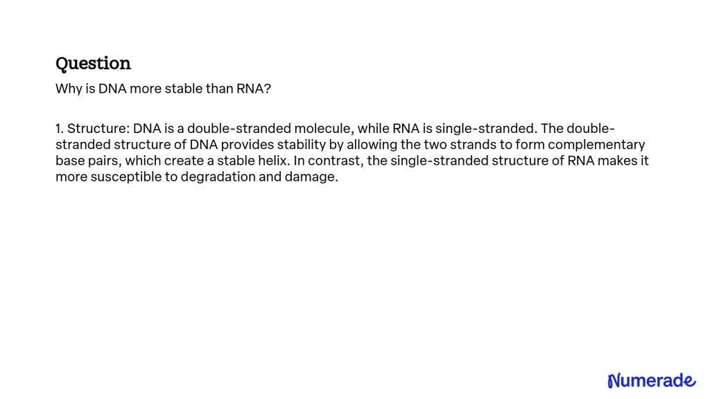 SOLVED:Why is DNA more stable than RNA?