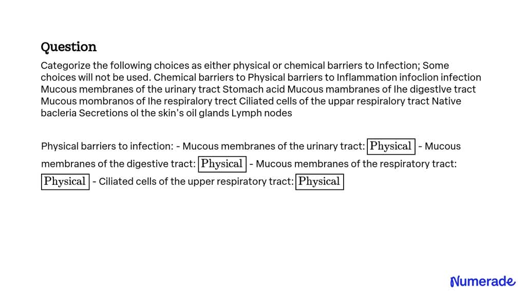 SOLVED: Categorize the following choices as either physical or chemical ...