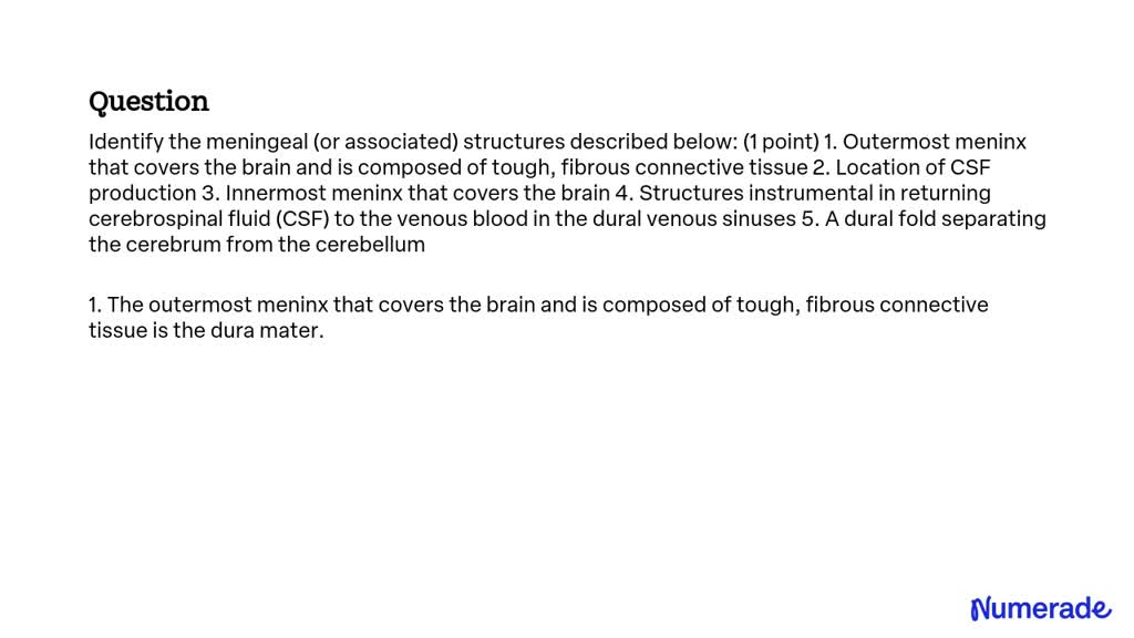 SOLVED:Identify the meningeal (or associated) structures described ...