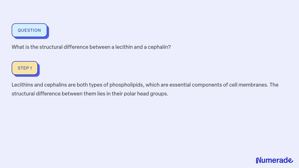 SOLVED What is the structural difference between a lecithin and a