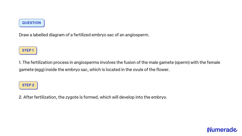 SOLVED: Draw a labelled diagram of a fertilized embryo sac of an ...