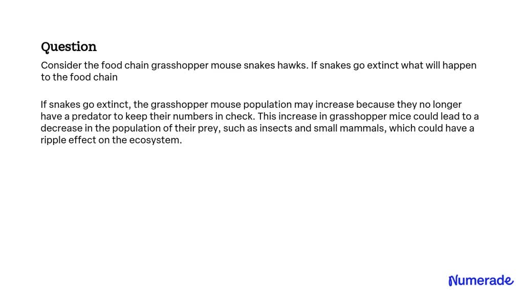 SOLVED: Consider the food chain grasshopper mouse snakes hawks. If