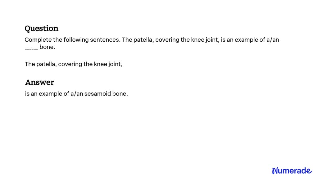 solved-complete-the-following-sentences-the-patella-covering-the-knee