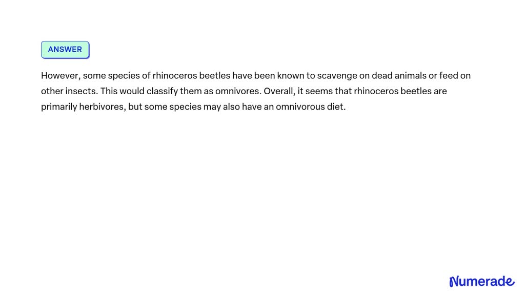 SOLVED: Are rhinoceros beetles herbivores carnivores or omnivores