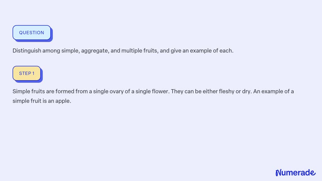 solved-distinguish-among-simple-aggregate-and-multiple-fruits-and