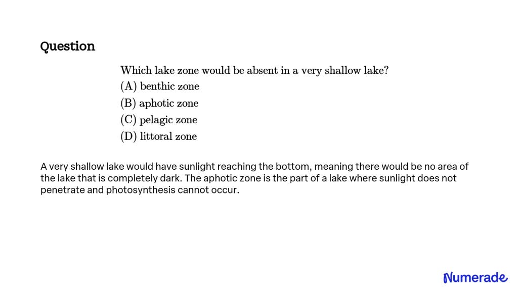 SOLVED: Which lake zone would be absent in a very shallow lake? (A ...