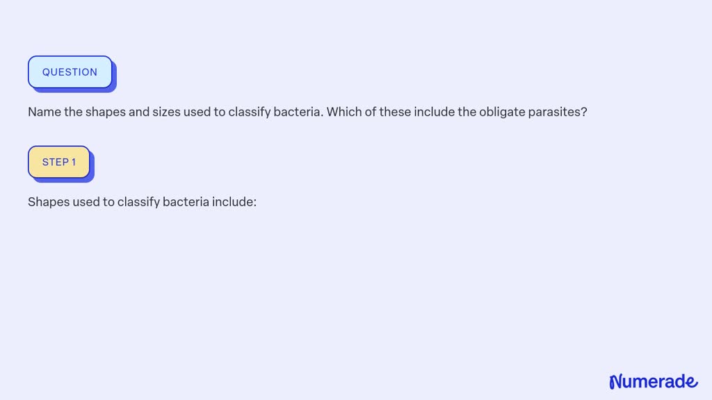 Solved:name The Shapes And Sizes Used To Classify Bacteria. Which Of 