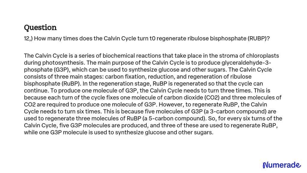 SOLVED: 12,) How many times does the Calvin Cycle turn t0 regenerate ...