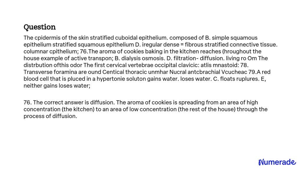 solved-the-epidermis-of-the-skin-is-composed-of-stratified-squamous