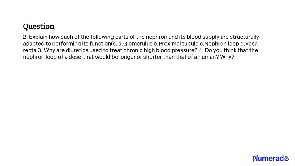 SOLVED: 2. Explain how each of the following parts of the nephron and ...