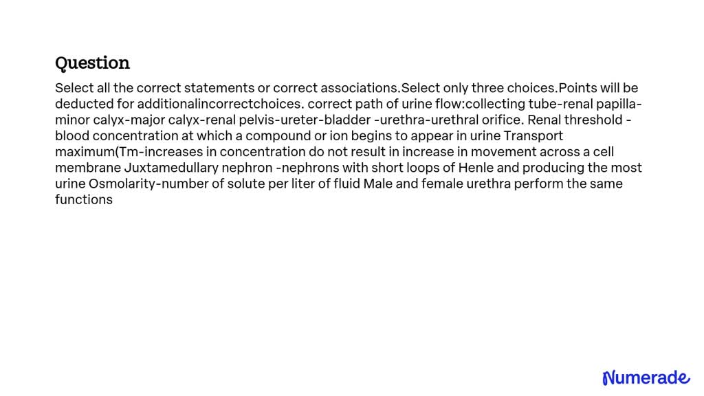 VIDEO solution: Correct path of urine flow: collecting tube - renal ...