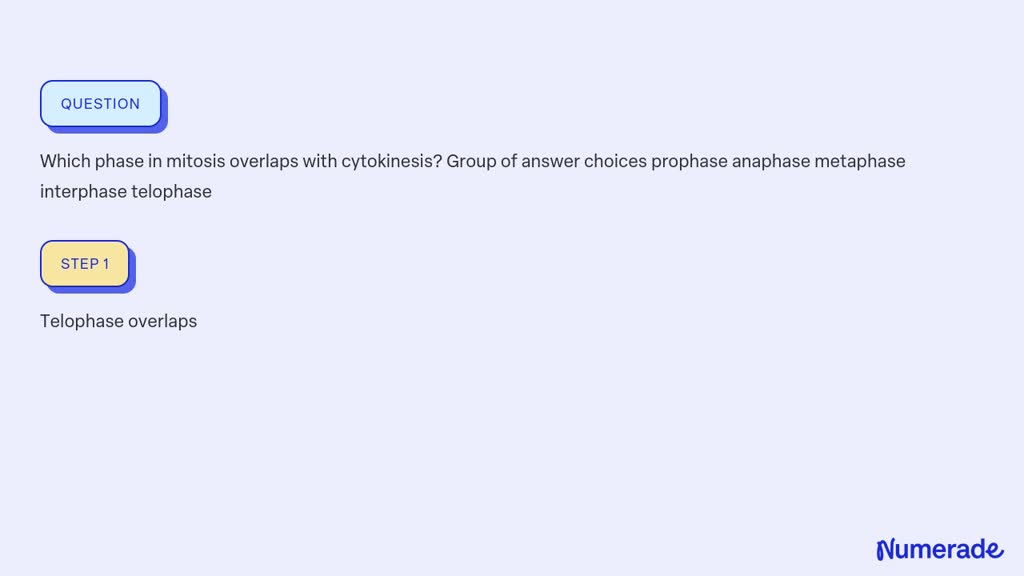 SOLVED: Which phase in mitosis overlaps with cytokinesis? Group of ...