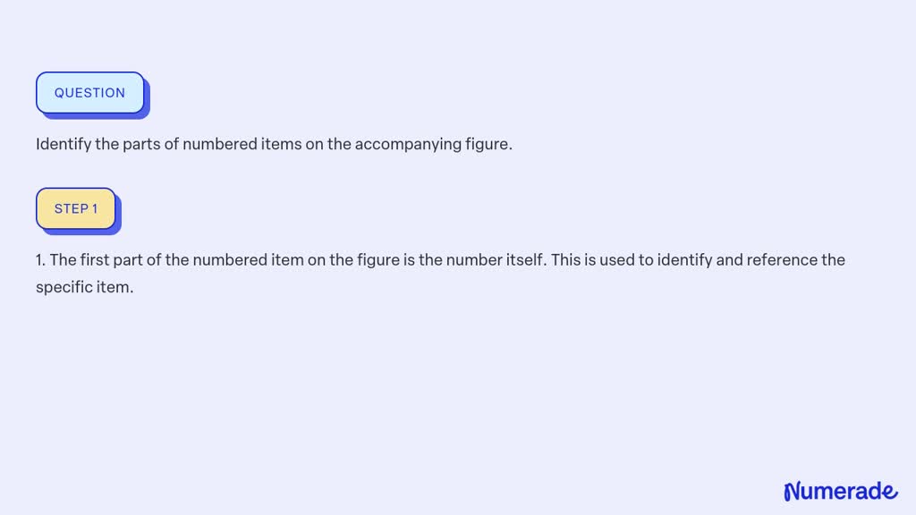 Solved:identify The Parts Of Numbered Items On The Accompanying Figure.