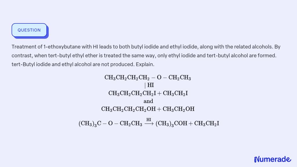 ⏩SOLVED:Treatment of 1-ethoxybutane with HI leads to both butyl… | Numerade