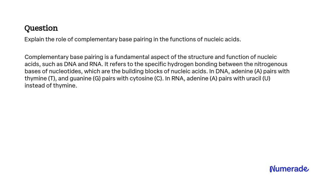 solved-explain-the-role-of-complementary-base-pairing-in-the-functions