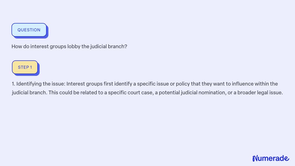 SOLVED:How do interest groups lobby the judicial branch?