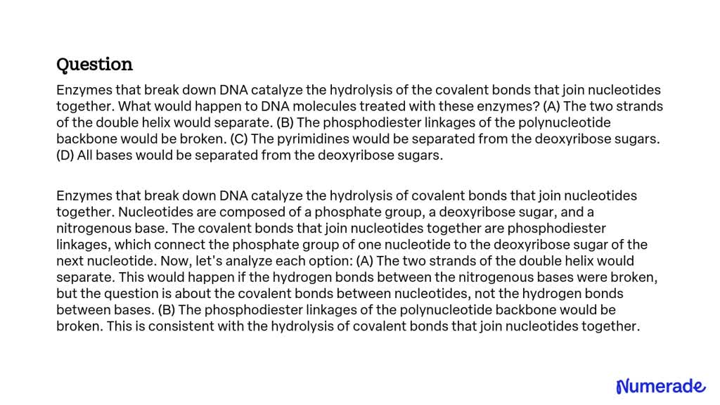 SOLVED: Enzymes that break down DNA catalyze the hydrolysis of the