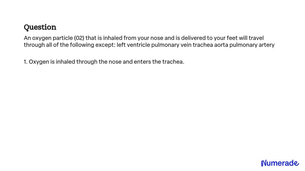 SOLVED: An oxygen particle (02) that is inhaled from your nose and is ...