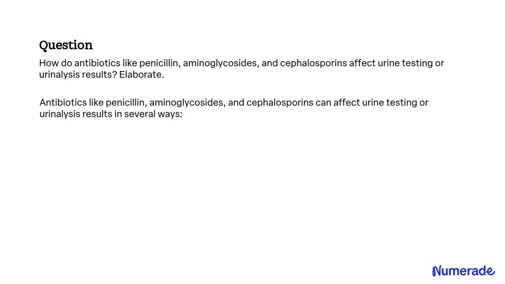 solved-how-do-antibiotics-like-penicillin-aminoglycosides-and