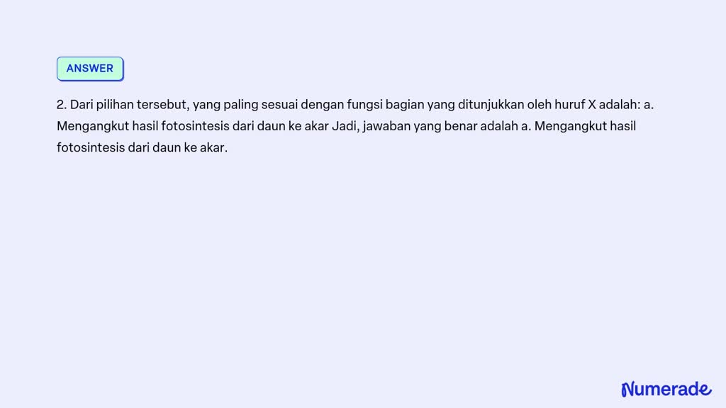 SOLVED: Bagian Yg Di Tunjukan Huruf X Berfungsi Untuk 16 Perhatikan ...