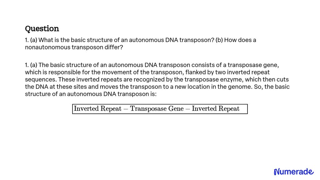 SOLVED: 1. (a) What Is The Basic Structure Of An Autonomous DNA ...