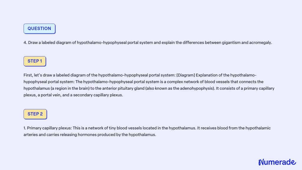 SOLVED: 4. Draw a labeled diagram of hypothalamo-hypophyseal portal ...