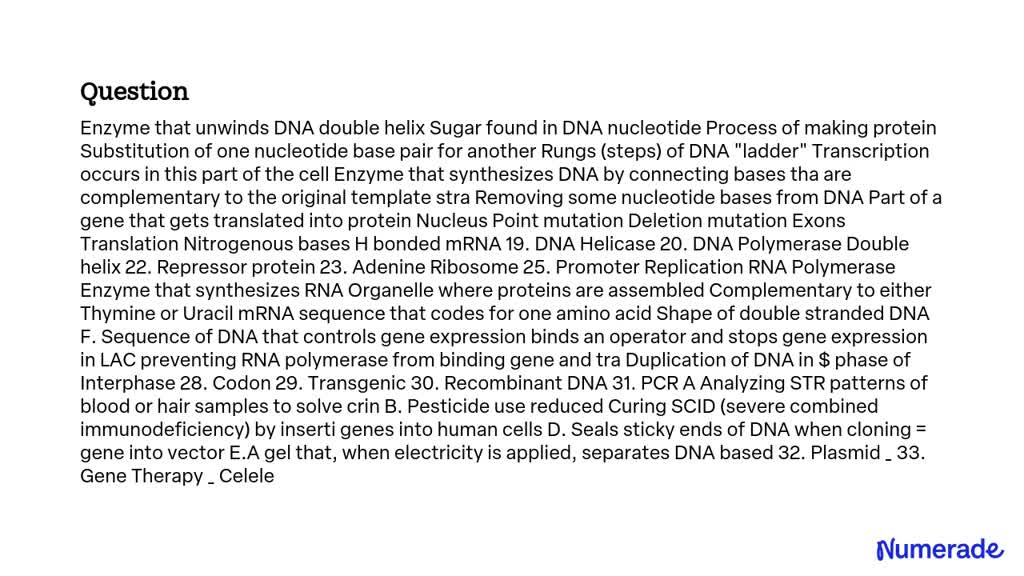 SOLVED: Enzyme that unwinds DNA double helix Sugar found in DNA