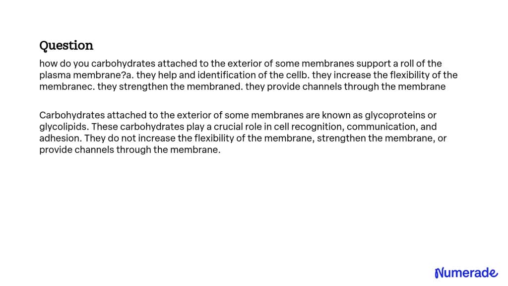 solved-how-do-carbohydrates-attached-to-the-exterior-of-some-membranes