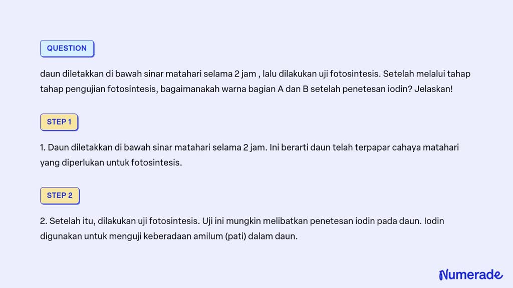 SOLVED: Daun Diletakkan Di Bawah Sinar Matahari Selama 2 Jam , Lalu ...