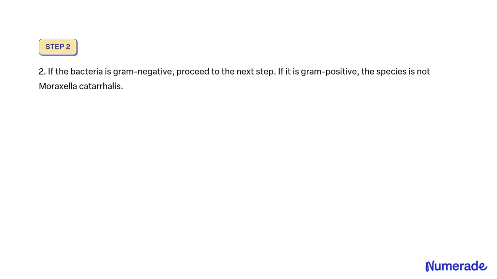 solved-please-make-a-flowchart-using-biomedical-tests-such-as-gram-staining-shapes-mannitol