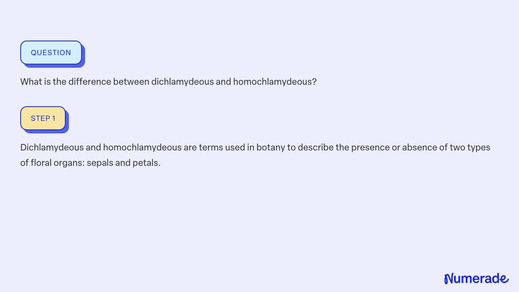 ⏩SOLVED:What is the difference between dichlamydeous and… | Numerade