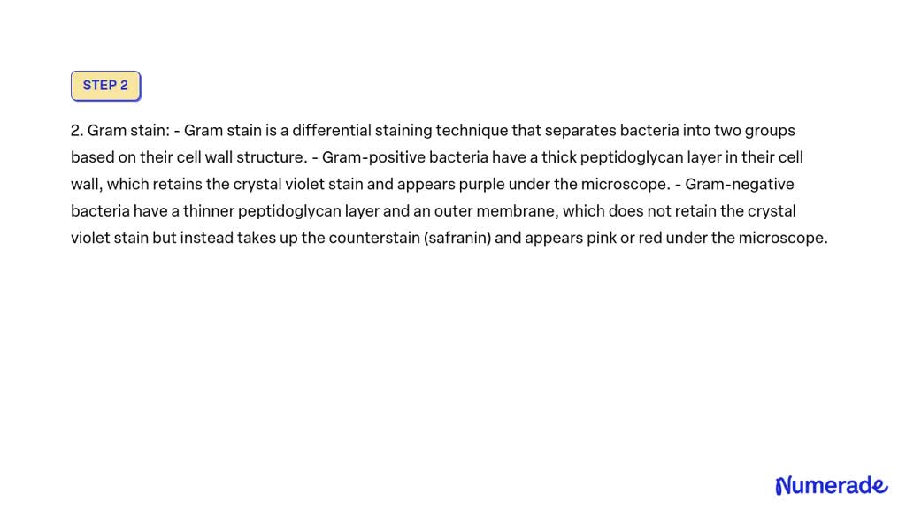 SOLVED: How can you be able to identify different staining techniques