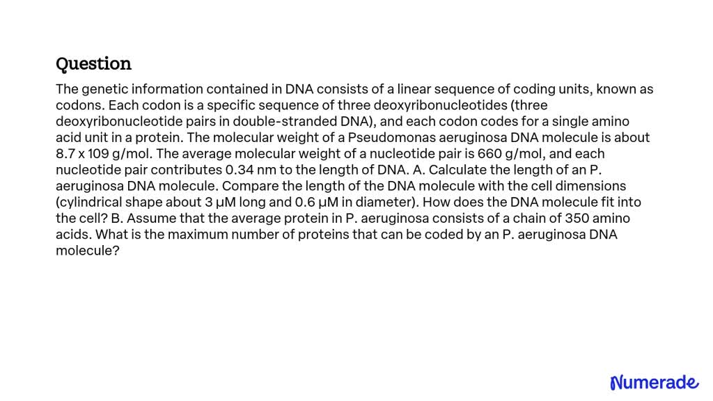 Solved: The Genetic Information Contained In Dna Consists Of A Linear 