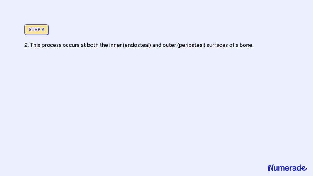 SOLVED: Describe Bone Remodeling Complete the following sentences ...