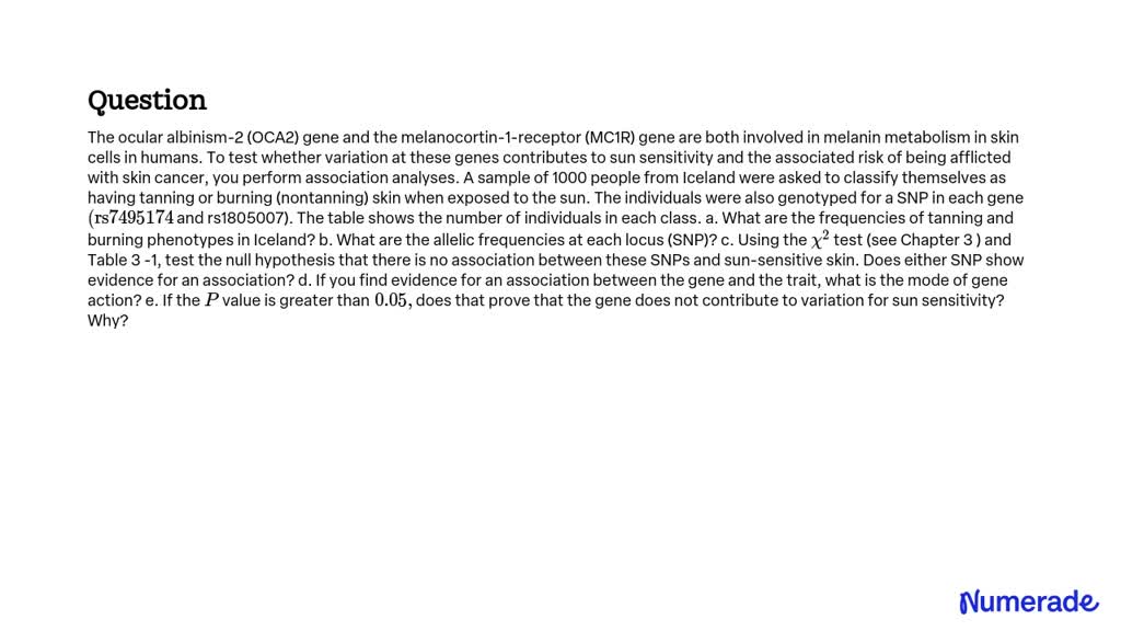 SOLVED:The ocular albinism-2 (OCA2) gene and the melanocortin-1 ...