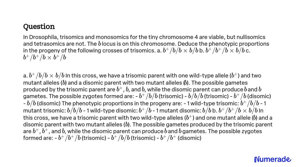 SOLVED:In Drosophila, Trisomics And Monosomics For The Tiny Chromosome ...